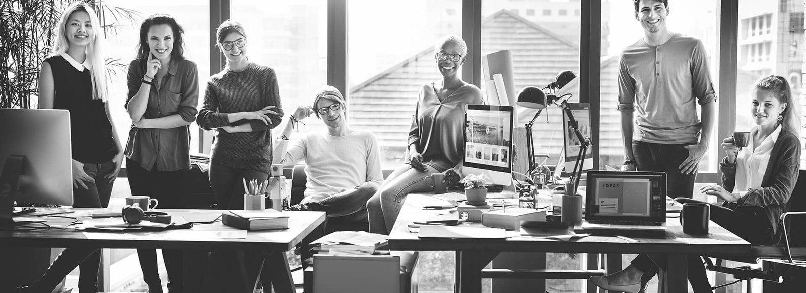We Build the Software Others Only Describe — Application Engineering by Vyfia